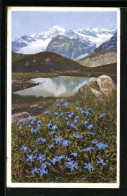 Künstler-AK Photochromie Nr.: 1497, Gentiana Verna (Frühlingsenzian) Am Schwarzsee Bei Zermatt  - Autres & Non Classés