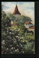 Künstler-AK Photochromie Nr.: 1898, Kastanienblüte Vor Dem Turm  - Autres & Non Classés