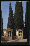 Künstler-AK Photochromie Nr.: 1846, Lebensbäume Hinter Steinmauer Mit Büsten  - Autres & Non Classés