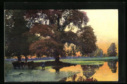 Künstler-AK Photochromie Nr.: 3138, Beauty Spots Of England, Study, Warwickshire  - Autres & Non Classés