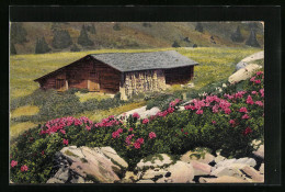 Künstler-AK Photochromie Nr. 1211: Rhododendron Hirsutum  - Autres & Non Classés
