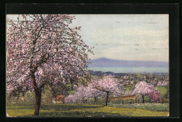 Künstler-AK Photochromie Nr. 3050: Blühende Obstbäume Unweit Eines Sees  - Autres & Non Classés