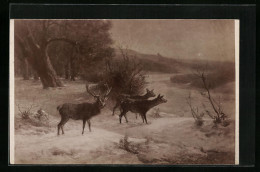 AK Hirsch Und Hirschkühe In Winterlandschaft  - Other & Unclassified