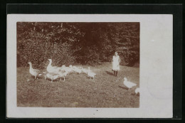 Foto-AK Mädchen Mit Einer Geflügelschar In Einem Garten  - Vögel