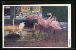 Künstler-AK Flamingos Und Ein Silberreiher An Einem Springbrunnen  - Oiseaux
