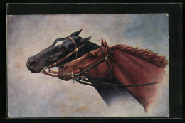 Künstler-AK Zwei Pferde Mit Zaumzeug  - Horses