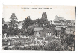 LE MANS - 72 -  Jardin Des Plantes - Un Beau Coin - TOUL 8 - - Le Mans