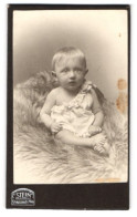 Fotografie Atelier Stein, Berlin, Chausseestr. 70 /71, Niedliches Baby Mit Grossen Augen Und Ohren  - Personnes Anonymes