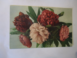 ITALY POSTCARDS GREETING FLOWERS  FREE AND COMBINED   SHIPPING FOR MORE ITEMS - Autres & Non Classés
