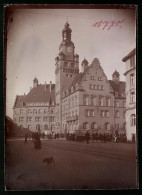 Fotografie Brück & Sohn Meissen, Ansicht Döbeln, Marktstände Vor Dem Rathaus  - Orte