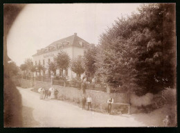 Fotografie Brück & Sohn Meissen, Ansicht Collm B. Oschatz, Partie Am Gasthof Collm Auf Dem Collmberg  - Places