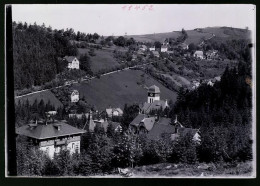 Fotografie Brück & Sohn Meissen, Ansicht Kipsdorf I. Erzg., Blick In Den Ort Mit Hotel Fürstenhof  - Places