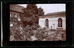 Fotografie Brück & Sohn Meissen, Ansicht Diesbar / Elbe, Partie Im Gasthaus Rosengarten, Spiegelverkehrt  - Orte
