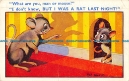 R164720 What Are You Man Or Mouse. I Do Not Know But I Was A Rat Last Night. Rob - Monde