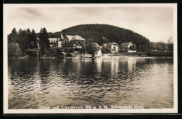 AK Titisee, Panorama Mit Schwarzwald-Hotel  - Autres & Non Classés