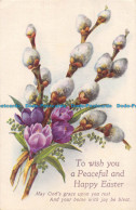 R164005 Greetings. To Wish You A Peaceful And Happy Easter - Monde