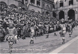 AREZZO - GIOSTRA DEL SARACINO -  PALIO - COSTUMI - FOLKLORE - 1948 - Arezzo