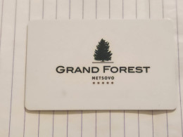 Greece-GRAND FOREST METSOVO-hotal Key Card-(1110)-used Card - Chiavi Elettroniche Di Alberghi