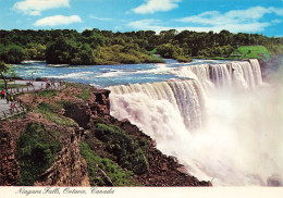 CPSM Niagara Falls       L2966 - Chutes Du Niagara