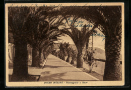 Cartolina Diano Marina, Passeggiata A Mare  - Sonstige & Ohne Zuordnung