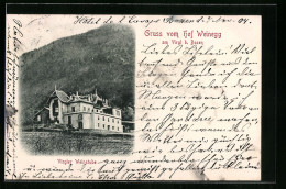Cartolina Virgl B. Bozen, Gasthof Weinegg Virgler Weinstube  - Bolzano (Bozen)