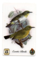 Oiseau Bird Exotic Télécarte Angleterre Royaume-Unis Phonecard (W 773) - Collections