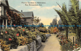 R165913 Flower Gardens In Midwinter. San Bernardino. Cal. Gray. 1913 - Monde