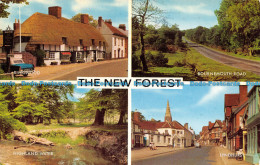R164866 The New Forest. Multi View. Salmon. 1967 - Monde