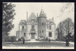41 LA MOTTE BEUVRON - Chateau De Beauval - Lamotte Beuvron