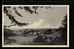 AK Grunbach Im Schwarzwald, Ortsansicht Aus Der Ferne  - Autres & Non Classés