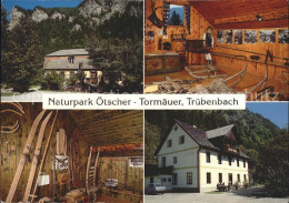 72304985 Truebenbach Naturpark Oetscher Tormaeuer Truebenbach - Autres & Non Classés