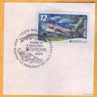 2024 Moldova  Europa 2024. Underwater Flora And Fauna, Fish, Beluga  1v Used, Envelope Clipping - 2024