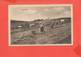 OBERHUTTEN Cpa Animée Scene Rurale - Cultivation