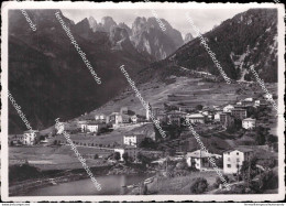 Ah849 Cartolina Dolomiti Di Brenta Molveno Provincia Di Trento Trentino - Trento
