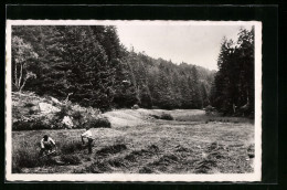 CPA Saint-Germain-l`Herm, Faucheurs Sur Les Bords De La Foret De L`Etat  - Autres & Non Classés