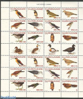 Suriname, Republic 2006 Birds 2x12v Sheet With Gutters, Mint NH, Nature - Birds - Owls - Surinam