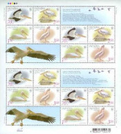Ukraine 2007 WWF Pelicans Rare Birds Special Sheetlet With Labels Other Perforation ! MNH - Ukraine