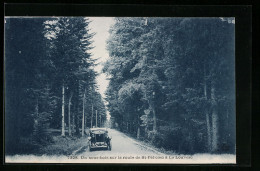 CPA Saint-Fèlicien, Un Sous-bois Sur La Route De St-Fèlicien à La Louvesc  - La Louvesc