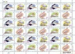 Ukraine 2007 WWF Pelicans Rare Birds Sheet Of 9 Sets MNH - Unused Stamps