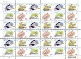 Ukraine 2007 WWF Pelicans Rare Birds Sheet Of 9 Sets MNH - Pelicans