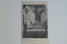 Cpa 1906 Corse Ile Rousse Avenue Piccioni - MAY09 - Andere & Zonder Classificatie