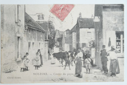 Cpa 1906 MOLESME Centre Du Pays - MAY09 - Autres & Non Classés