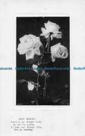 R164168 Old Postcard. Roses. Rotary. 1907 - Monde