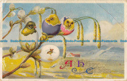 R164930 Greetings. A Happy Easter. Chicks. Wildt And Kray. 1914 - Monde