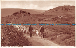 R165996 A Moorland Road. Dartmoor. Sweetman. Solograph - Monde