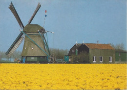 CPM Moulin En Hollande Foto Henk V. D. Leeden - Windmühlen