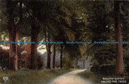 R165443 Beautiful Scenery Among The Trees. Schwerdtfeger - World