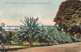 R165452 Palm Drive. State Hospital Grounds. Stockton. California. H. Mitchell - Monde
