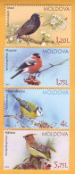 2015 Moldova Moldavie Moldau  Birds From Moldovan Regions 4v Mint - Climbing Birds