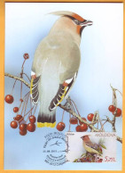 2015 Moldova Moldavie Moldau MAXICARD Birds From Moldovan Regions 5,75 - Picchio & Uccelli Scalatori